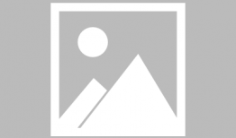 日麻批的视频,揭秘日本麻将的魅力与技巧